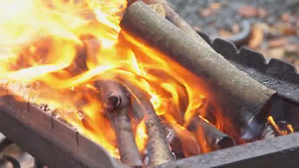 Palivového dřeva pro grilování uhlí zpomalené Detailní záběr na teplé oheň hořící v táborák — Stock video