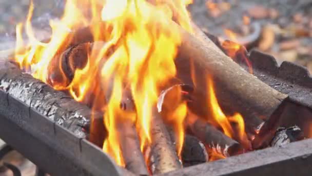 Palivového dřeva pro grilování uhlí zpomalené Detailní záběr na teplé oheň hořící v táborák — Stock video
