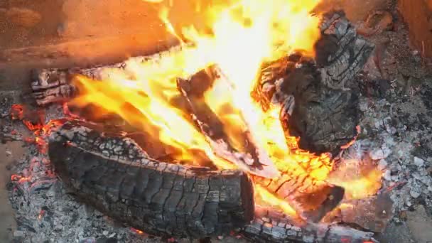 Ateş için odun kömür ağır çekim portre bir kamp ateşi yanan sıcak yangın Barbekü — Stok video