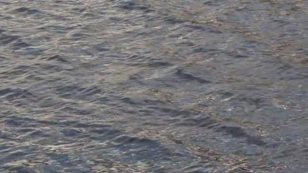 Plätschernde blaue Wasseroberfläche, Wasserfluss Hintergrund, silberner Hintergrund — Stockvideo