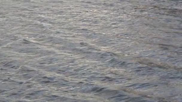 シルバー背景の川の水青い水面の波紋を広げて、 — ストック動画