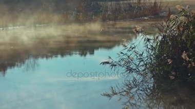 Sis göl erken sabah sabah sis göl kenarında