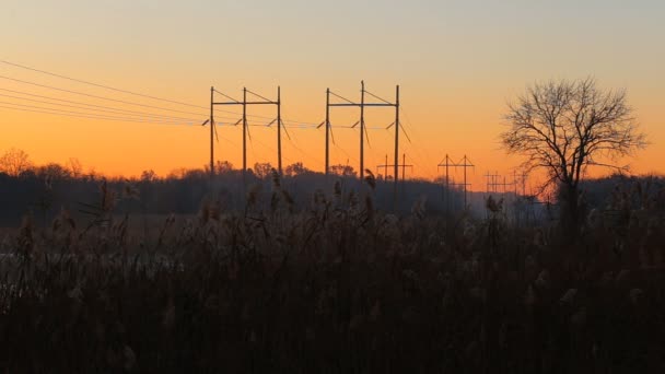 Tôt le matin à la fin de l'été ou au début de l'automne où le soleil se lève et où il y a encore de la rosée et une lumière douce — Video