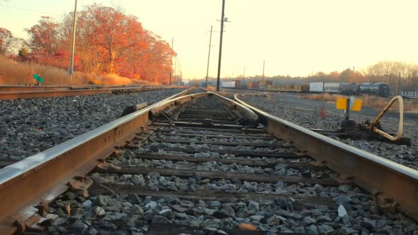 Starej linii kolejowej w Las jesienią rano słońce kolejowe — Wideo stockowe