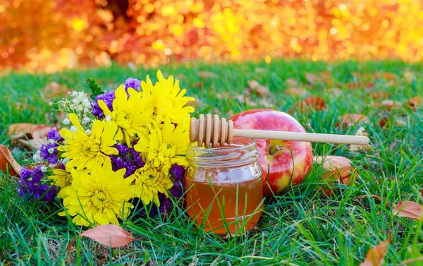 Tablo arka plan Bahçe üzerinde sonbahar tatlım elma nar — Stok fotoğraf