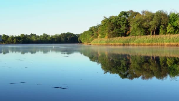 이른 아침 아침 안개 호수에서 호수에 안개 — 비디오