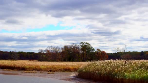 Wolken Moving Over rivier en Fall bomen Fall River wolken — Stockvideo