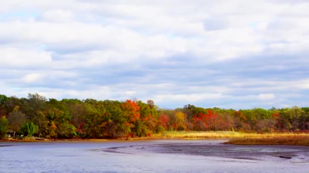 Molnen flytta över River och hösten träd Fall River moln — Stockvideo