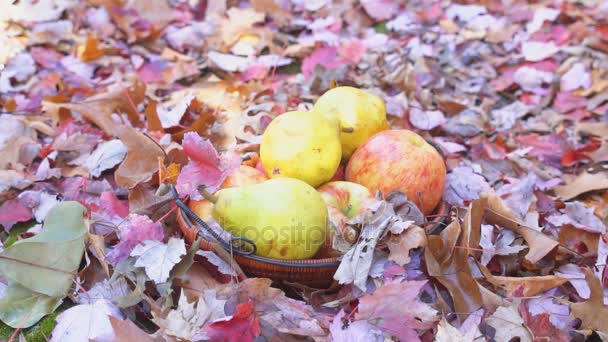 Frisches Obst und Gemüse in einem Korb auf der Sitzlehne essen, Freizeitparks. — Stockvideo