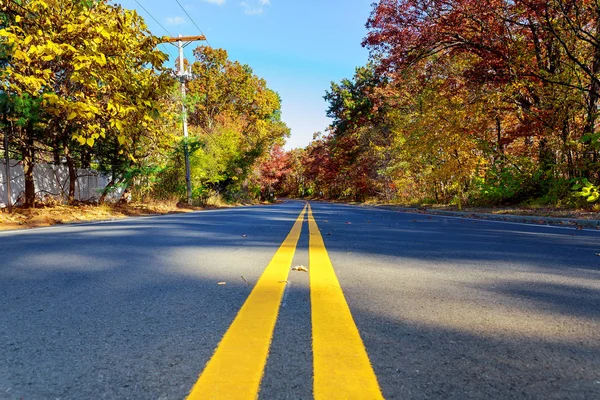 Kleurrijke herfst bomen met gevallen bladeren een kronkelende weg — Stockfoto