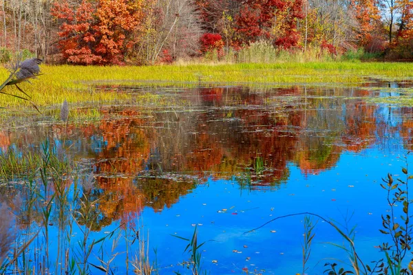 Estanque en otoño, hojas amarillas, reflejo — Foto de Stock