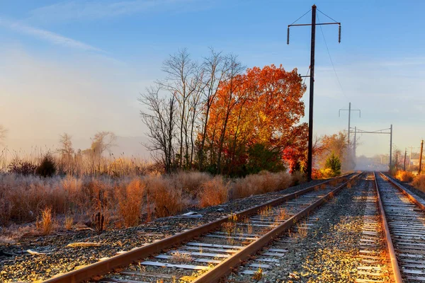 Nebbia Autunnale Nebbia Ferroviaria Che Copre Binari Ferroviari — Foto Stock