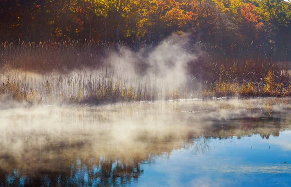 Foggy matin sur la rivière. Paysage d'automne avec roseaux au premier plan et arbres — Photo
