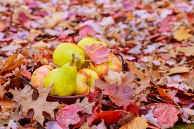 Elma, üzüm ve armut Vintage natürmort