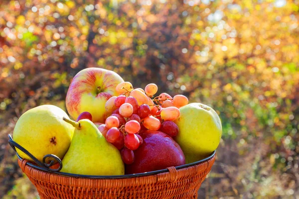 Jíst čerstvé ovoce a zelenina v košíku na zbytek sedadla, zábavní parky. — Stock fotografie