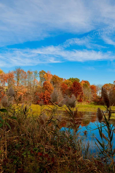 Bunte Herbstlandschaft.Natur Hintergrund — Stockfoto