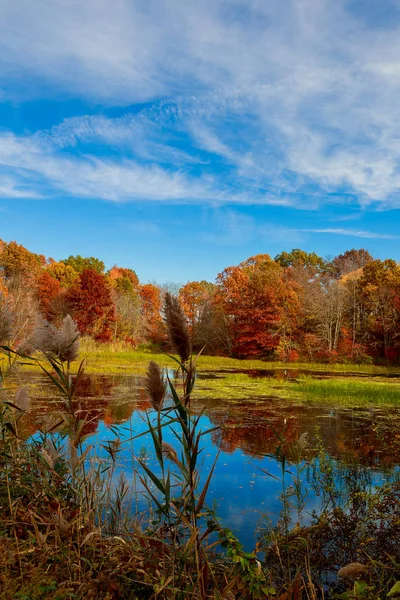 Die leuchtenden Farben des Herbstes im Park am See. — Stockfoto