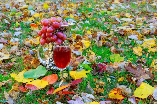 Стакан белого вина и осенние листья против — стоковое фото