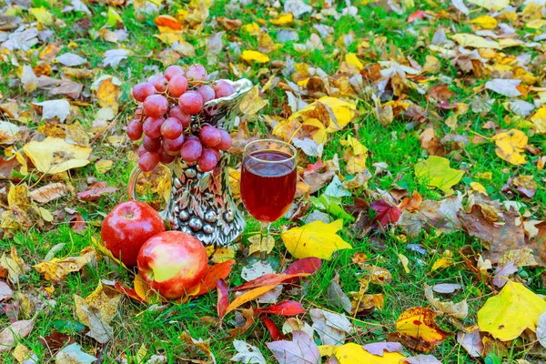 白ワインと秋の葉に対してのガラス — ストック写真