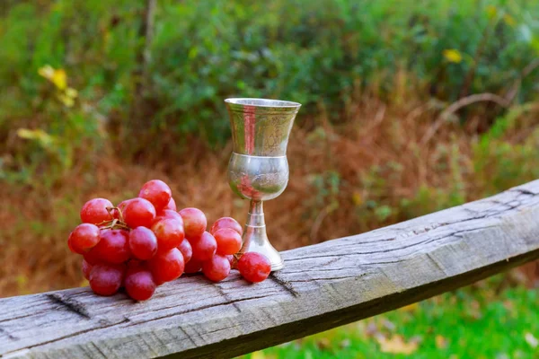 ユダヤ教の祝日のワイン用葡萄ガラス — ストック写真