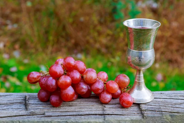 Sklenka vína a hroznů židovských svátků — Stock fotografie
