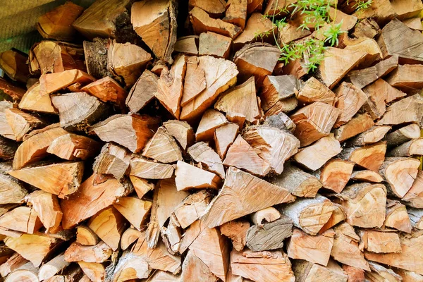 Holzscheite für das Winterfeuer — Stockfoto