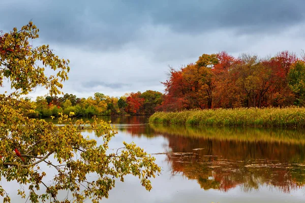 Colorido outono floresta lago rio céu nuvens Cirrus — Fotografia de Stock