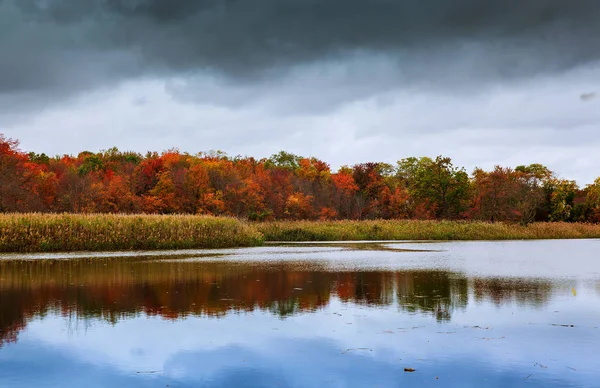 Bunt Herbst Wald See Fluss Himmel Wolken Zirrus — Stockfoto