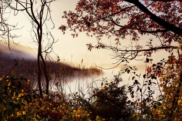 Nevoeiro da manhã sobre o rio no outono — Fotografia de Stock