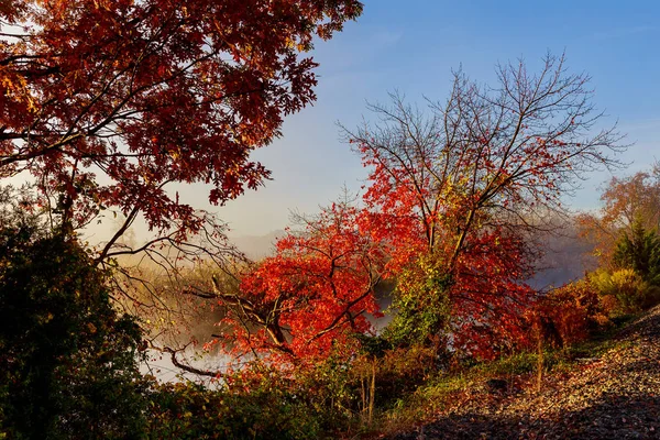 Ranní mlha na jezeře podzim — Stock fotografie
