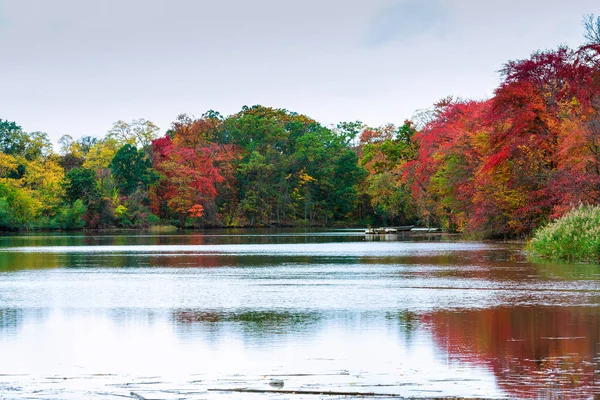 Färgglada hösten skogen sjön floden himlen molnen Cirrus — Stockfoto