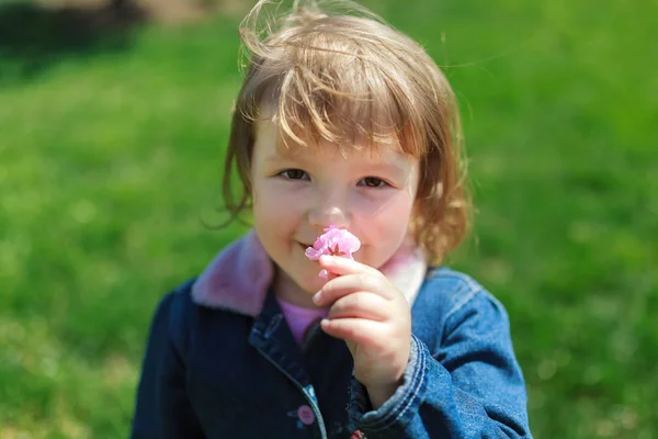 Bella ragazza, passeggiate con un mazzo di fiori in abito nel parco, luce di sera sullo sfondo — Foto Stock