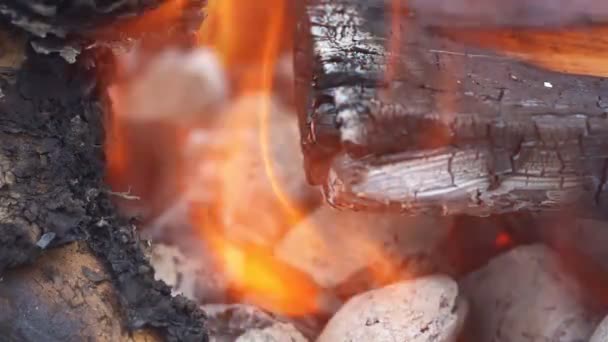 Nära upp läger eld flammor och eld — Stockvideo