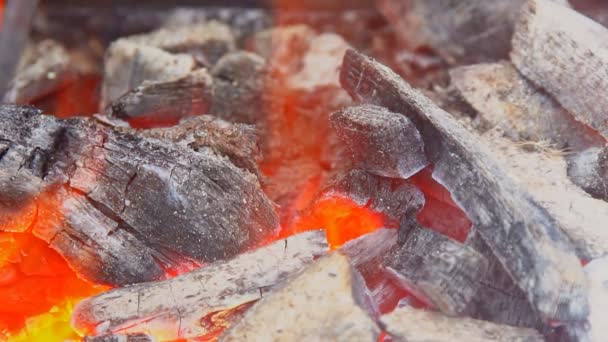 Acercamiento de llamas de fuego y fuego de campamento — Vídeo de stock