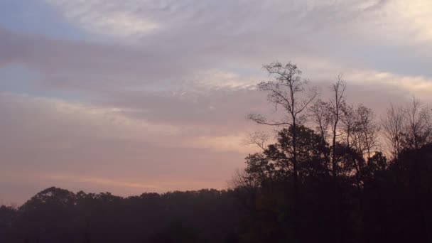 Céu da manhã no outono com nuvens coloridas atrás de algumas árvores — Vídeo de Stock