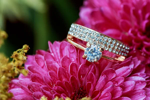 Anelli rosa dalie amore San Valentino Colorato e ammorbidito - matrimonio con diamanti — Foto Stock