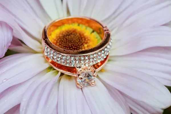 Anillos en el amor blanco margarita San Valentín gerberas y oro de boda — Foto de Stock