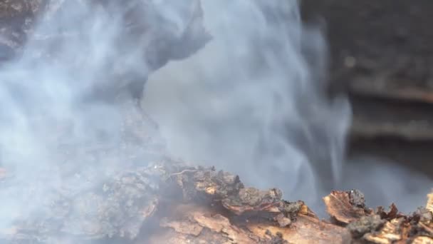 Vlammen en rook van brandend hout — Stockvideo