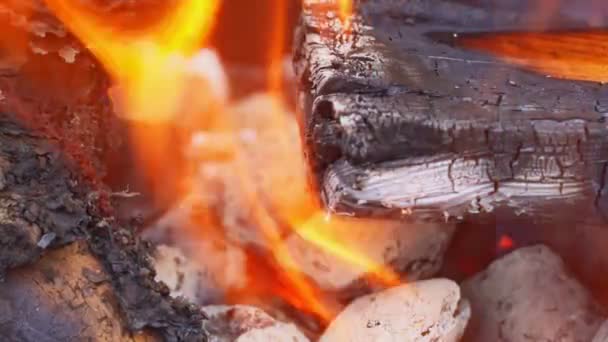 Chamas de fogo no fundo preto — Vídeo de Stock