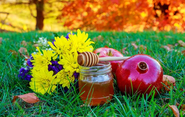 Rosh hashanah jewesh tatil kavramı - tatlım, apple ve nar geleneksel semboller. — Stok fotoğraf