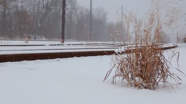 Passagem ferroviária coberta de neve — Vídeo de Stock