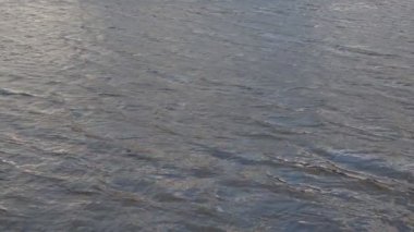 Ağır çekim sinek rahatsız okyanus su yüzey, loopable üzerinde.