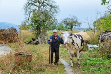 Çiftçi üzerinde yeşil bir alana ineklerin ile