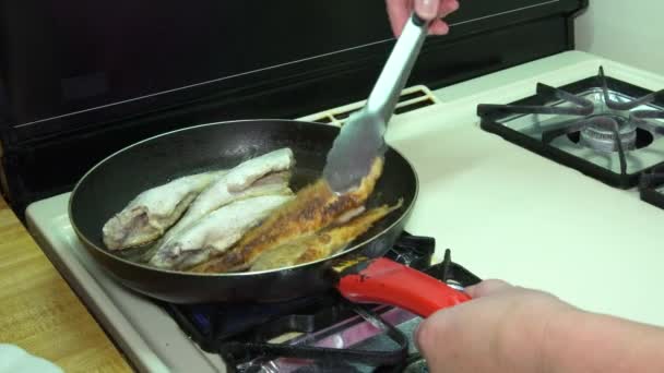 Steka fisk av olja i pannan, stekt i stekpanna med het olja, — Stockvideo