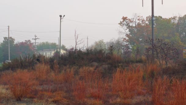 Morning fog on railway station the countryside — Stock Video