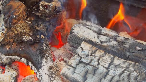 Φωτιά να καίει σε αργή κίνηση με το ξύλο που πέφτει — Αρχείο Βίντεο