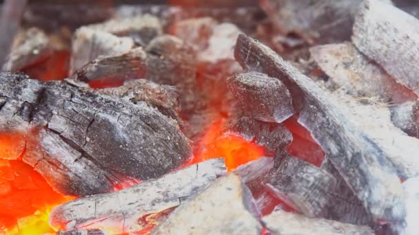 Fogo queimando em câmera lenta com madeira caindo — Vídeo de Stock