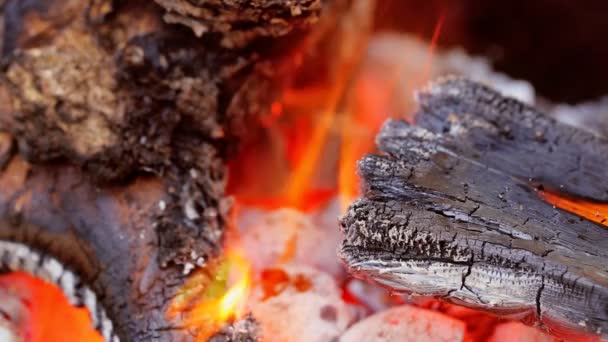 타는 불꽃 금속 평방 바베 큐, 근접 촬영. 피크닉에서 모닥불입니다. 슬로우 모션 — 비디오