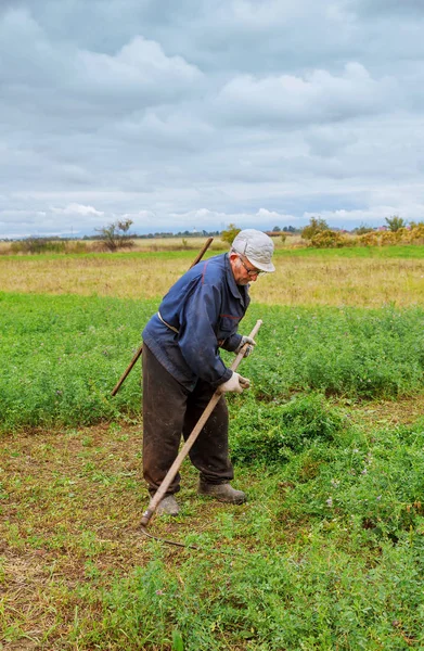 Eski kıyafetlerini çiftçi çim sahada mows