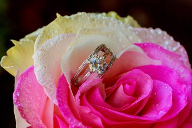 Arzu, sevgi ve Sevgililer günü